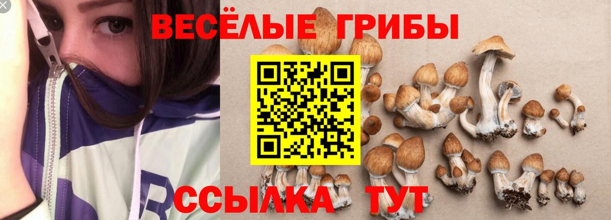 дарнет шоп  Псилоцибиновые грибы мицелий  Вход с VPN  Валуйки 